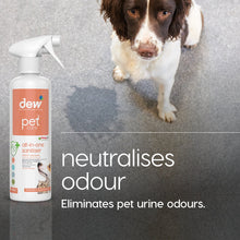 Load image into Gallery viewer, NDP-01 Pet All in One Disinfectant
